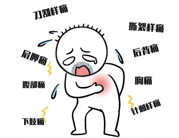 9.webp.jpg